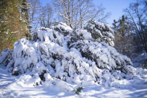 Unterwegs im Bergpark