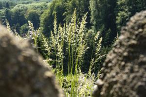 Kassel_Bergpark_Herkules_Web_09