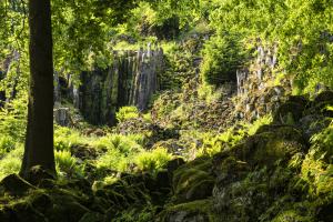 Kassel_Bergpark_SteinhoeferWasserfall_Web_03