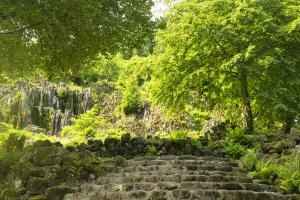 Kassel_Bergpark_SteinhoeferWasserfall_Web_04