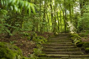 Kassel_Bergpark_Steintreppe_Web_01