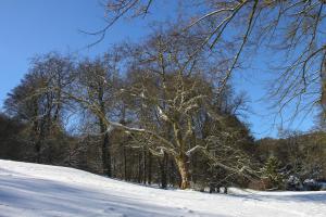 Kassel_Bergpark_Winter_web_01