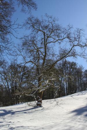 Kassel_Bergpark_Winter_web_02