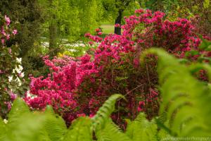 Blumeninsel_Siebenbergen_Web_39