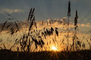 Sonnenuntergang_Altenstaedt_Web