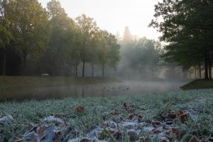 Karlsaue_Herbst_Web_51