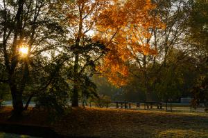 Karlsaue_Herbst_Web_52