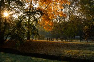 Karlsaue_Herbst_Web_53