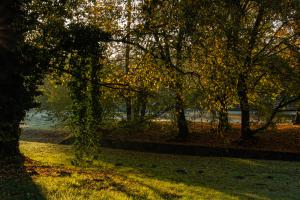 Karlsaue_Herbst_Web_54