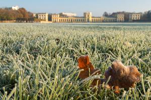 Herbstliche Karlsaue