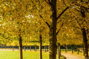 Kassel_Karlsaue_Herbst_Web_01