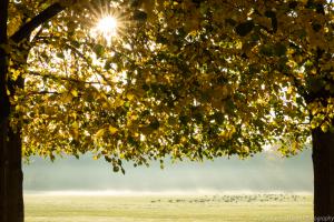 Kassel_Karlsaue_Herbst_Web_03