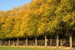 Kassel_Karlsaue_Herbst_Web_08