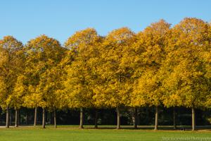 Kassel_Karlsaue_Herbst_Web_09