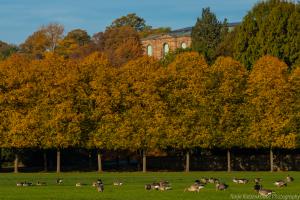 Kassel_Karlsaue_Herbst_Web_11