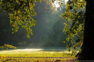 Kassel_Karlsaue_Herbst_Web_16