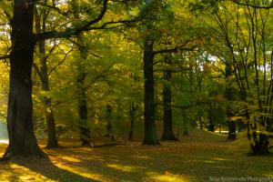 Kassel_Karlsaue_Herbst_Web_17