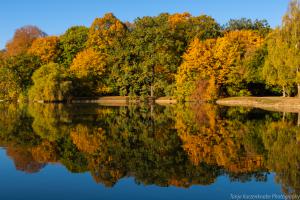 Kassel_Karlsaue_Herbst_Web_20