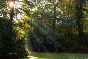 Kassel_Karlsaue_Herbst_Web_21