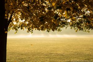 Kassel_Karlsaue_Herbst_Web_24