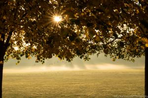 Kassel_Karlsaue_Herbst_Web_25