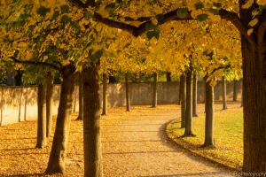 Kassel_Karlsaue_Herbst_Web_28