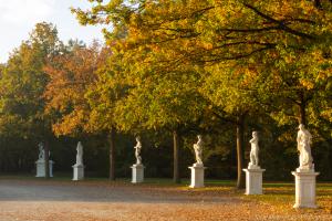 Kassel_Karlsaue_Herbst_Web_29