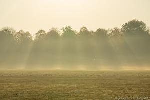 Kassel_Karlsaue_Herbst_Web_33