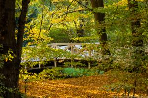 Kassel_Karlsaue_Herbst_Web_34