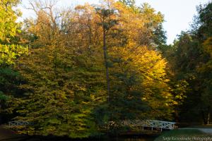 Kassel_Karlsaue_Herbst_Web_36