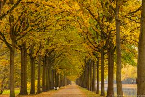 Kassel_Karlsaue_Herbst_Web_38