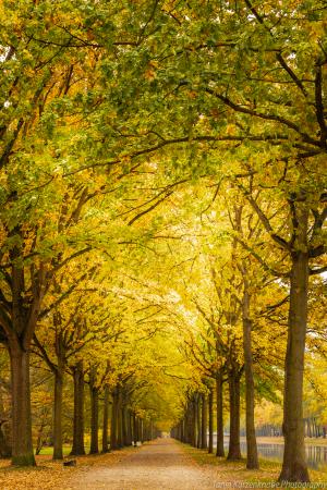 Kassel_Karlsaue_Herbst_Web_39