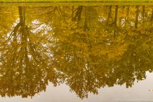 Kassel_Karlsaue_Herbst_Web_41