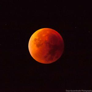 Mondfinsternis2015_web003