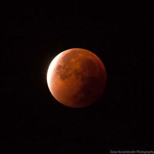 Mondfinsternis2015_web006