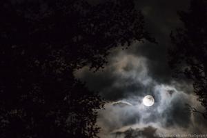 Vollmond_web008