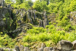 Kassel_Bergpark_SteinhoeferWasserfall_Web_02