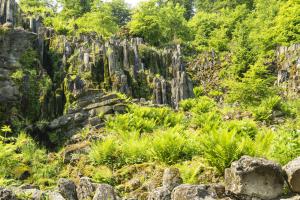 Kassel_Bergpark_SteinhoeferWasserfall_Web_02