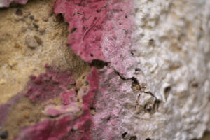 Vergaengliches_Takumar_Web_31