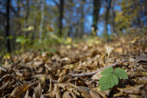 Tokina_ParkSchoenfeld_Web_06