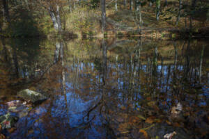 Tokina_ParkSchoenfeld_Web_08