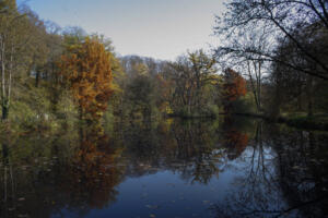 Tokina_ParkSchoenfeld_Web_12