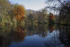 Mit dem Tokina im Park Schönfeld