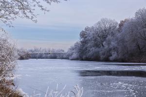 Winter 2022