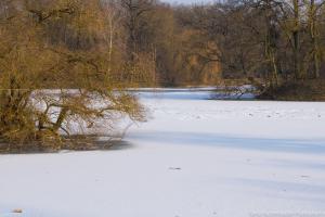 Kassel_Karlsaue_Auesee_Winter_Web_01