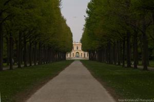 Allee und Orangerie