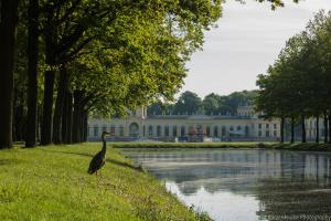 Kassel_Orangerie_Web_018