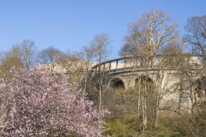 Kassel_Weinberg_Weinberggarten_Web_004