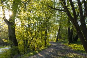 ParkSchoenfeld_Waldweg_Web_02